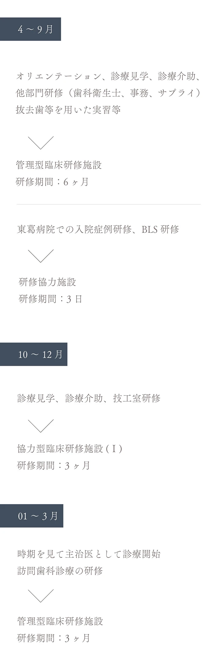 年間スケジュール